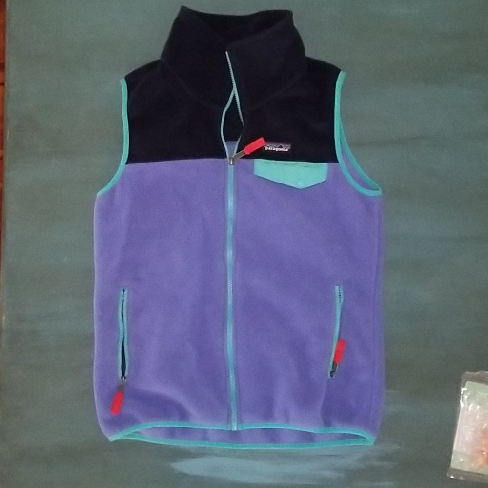 Patagonia Synchilla Fleece Vest